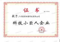 科技小巨人